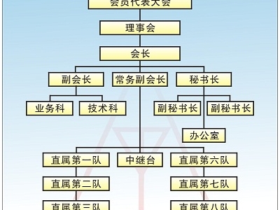 组织架构